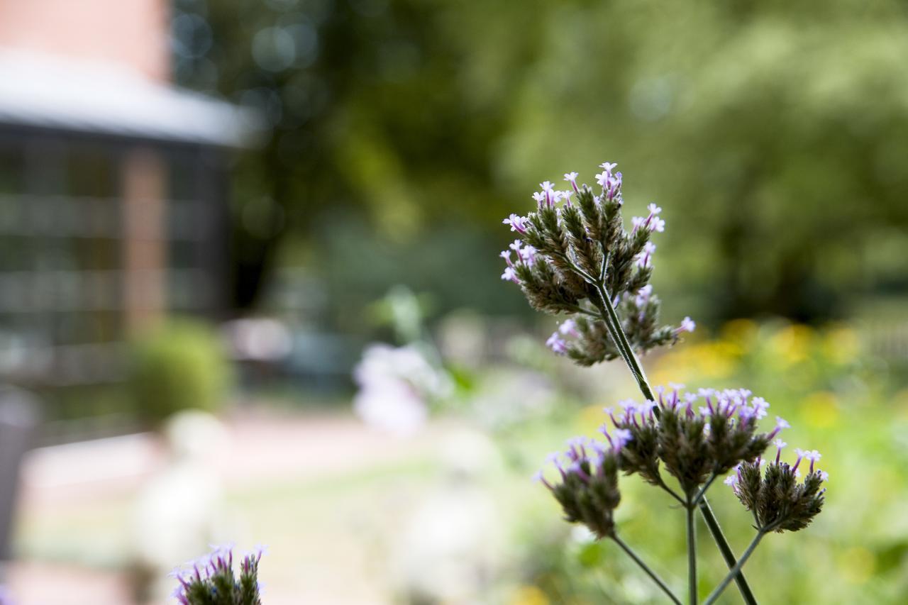 Hotel Restaurant Piaerdestall Hoevelhof Zewnętrze zdjęcie